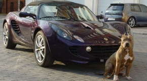 А стоит ли защищать автомобиль, если любой автомобиль все равно могут угнать?